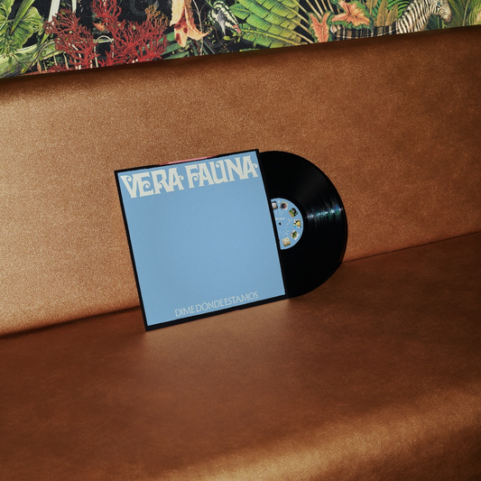 Dime Dónde Estamos - Vinilo