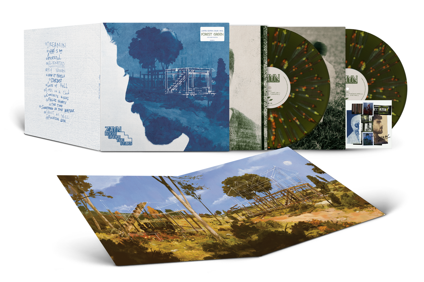 Room Under The Stairs - Vinilo (Edición Exclusiva Limitada 2LP) + Tarjeta Firmada