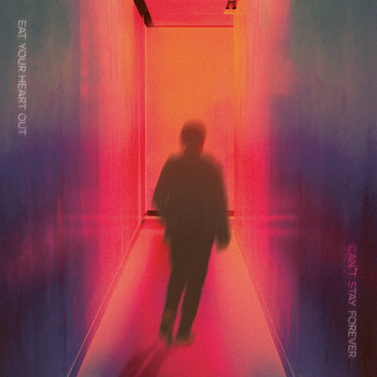 Can't Stay Forever  - Vinilo