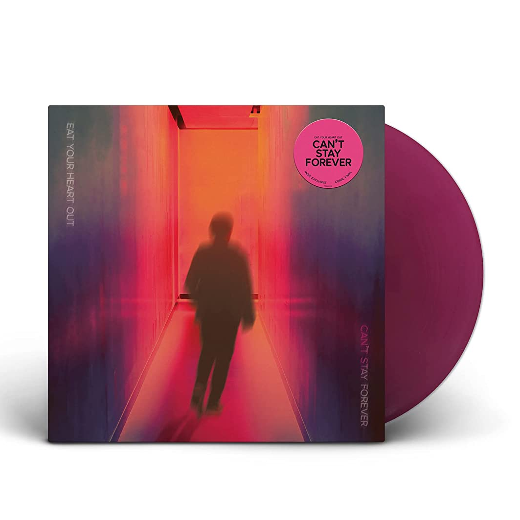 Can't Stay Forever  - Vinilo