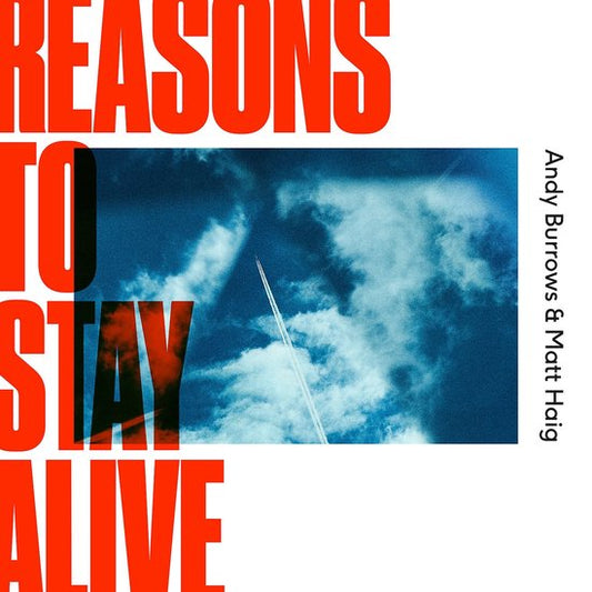 Reasons To Stay Alive - Vinilo