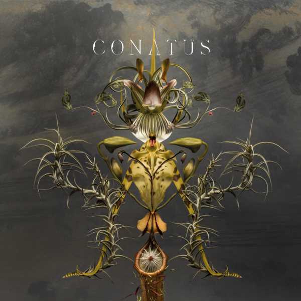 Conatus - Vinilo
