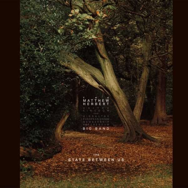 The State Between Us - Vinilo (3LP)