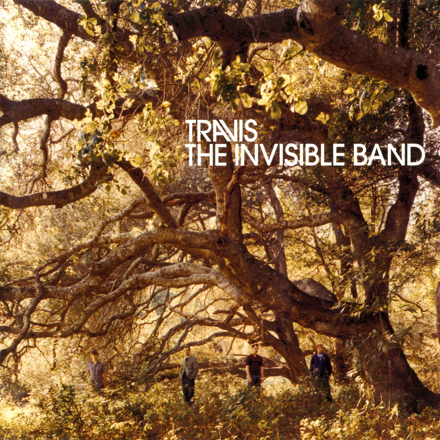The Invisible Band - CD (Edición Deluxe)